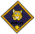 bobcat badge